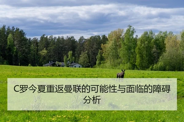 luo-jin-xia-chong-fan-man-lian-de-ke-neng-xing-yu-mian-lin-de-zhang-ai-fen-xi-2-208.jpg