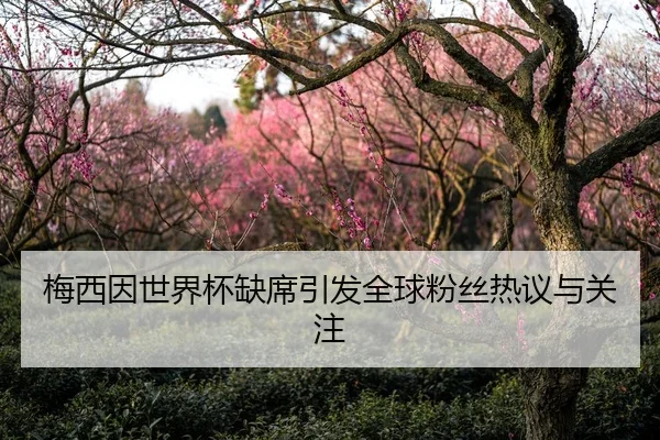 梅西因世界杯缺席引发全球粉丝热议与关注